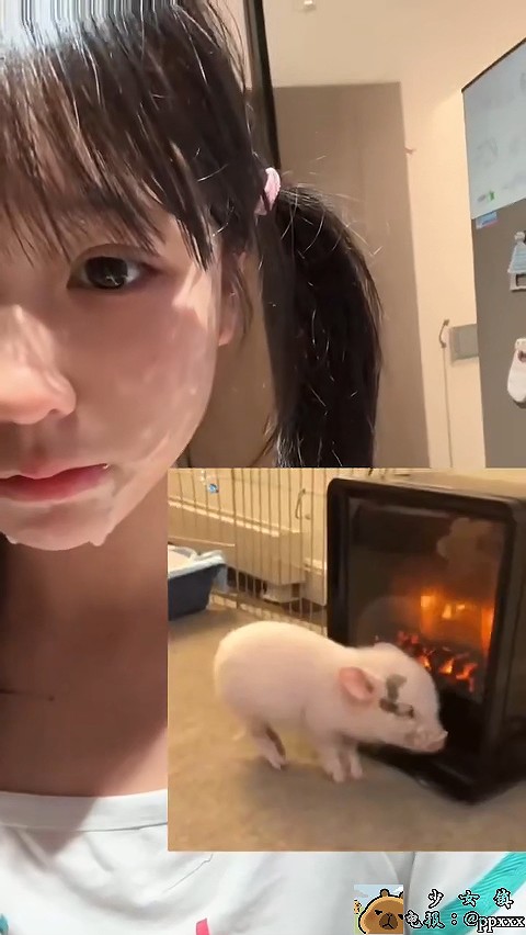 图片[2]-【免费福利】推特双马尾萝莉【Yyj_iiiovo】合集【13V+19P 282M】【PK】 • 欲泽社 - 全网每日精品资源-欲泽社 - 全网每日精品资源