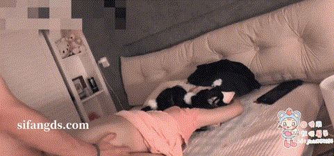 图片[7]-清纯神颜露脸博主【金币崽】与金主爸爸3P做爱 合集【55V+65P 356M】【PK】 • 欲泽社 - 全网每日精品资源-欲泽社 - 全网每日精品资源