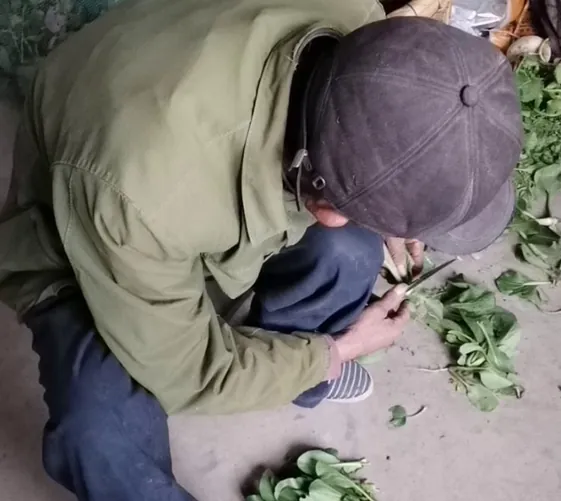 图片[5]-【户外露出】户外随机勾引陌生人【妖媚婷儿】合集【430V 30.9G】【PK】 • 欲泽社 - 全网每日精品资源-欲泽社 - 全网每日精品资源