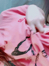 图片[8]-【推特】杭州顶级名媛【RosesJoo鲤鲤】合集【57V+107P 1.66G/PK】 • 欲泽社 - 全网每日精品资源-欲泽社 - 全网每日精品资源