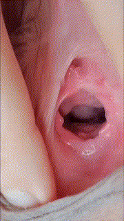 图片[2]-【系列】自整理【粉逼合集】每个都嫩出水，绝对精品【107V+69P 1.88G】【PK】 • 欲泽社 - 全网每日精品资源-欲泽社 - 全网每日精品资源