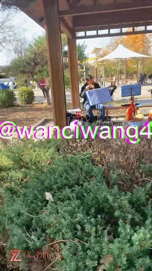 图片[10]-【推特】长春SM大神硬核折磨凌辱【万磁王wanciwang4】合集【39V 2.2G】【PK】 • 欲泽社 - 全网每日精品资源-欲泽社 - 全网每日精品资源