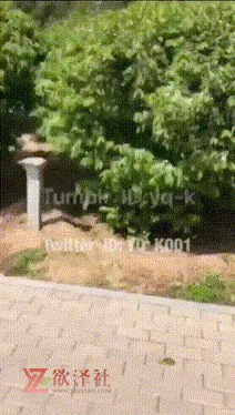 【PK】 推特绿帽大神【YQ-K】极限露出合集【220V 58.5G】-欲泽社 - 全网每日精品资源